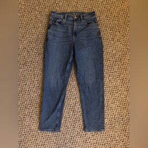 American Eagle Outfitters Light Blue Denim Jeans